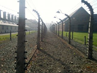 Concentration Camp Holocaust