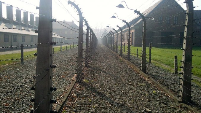 Concentration Camp Holocaust 