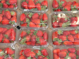 Food Fresh Fruit Strawberry