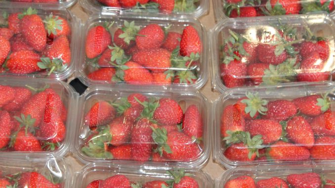 Food Fresh Fruit Strawberry 