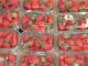 Food Fresh Fruit Strawberry