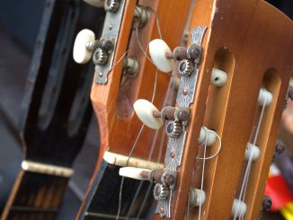 Guitar Guitar Neck Instrument Music