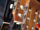 Guitar Guitar Neck Instrument Music