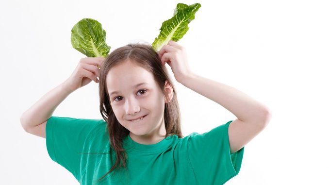 Salad Rabbit Play Vegetables Food 