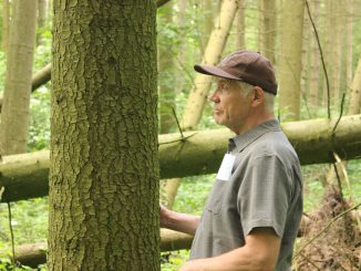 Waldsterben Farmer In The Woods
