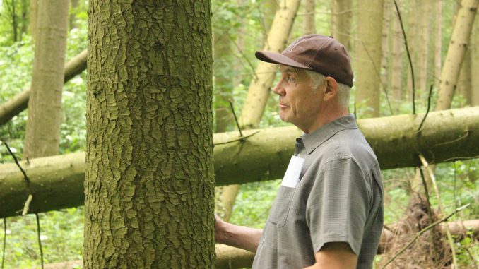 Waldsterben Farmer In The Woods 