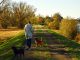 Walk Human Person Woman Dogs