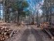 Wood Trunk Carpenter Sawmill