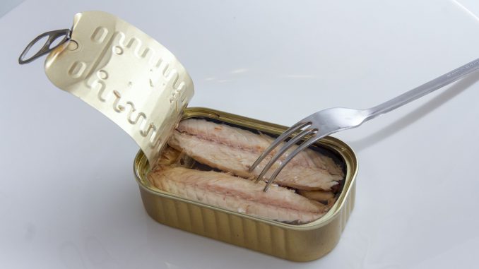 Can Mackerel Food Supermarket Fish 