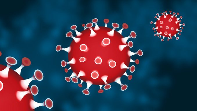 Corona Coronavirus Virus Pandemic 