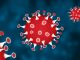 Corona Coronavirus Virus Pandemic