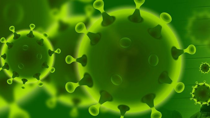 Corona Coronavirus Virus Pandemic 
