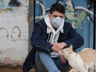 Coronavirus Corona Teenager Cat