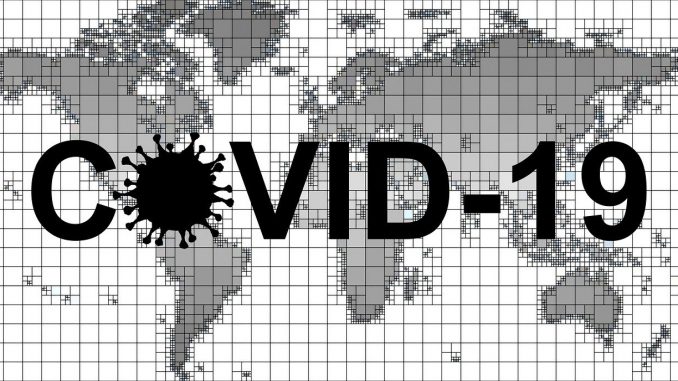 Covid  Virus Coronavirus Pandemic 