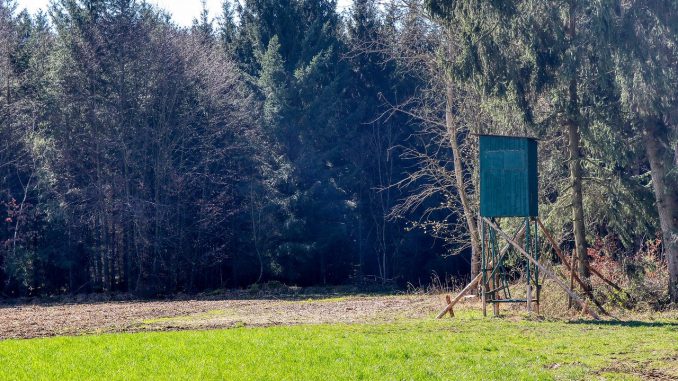 Hunting Nature Hunter Forest Wild 