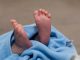 Infant Baby Sweet Young Newborn