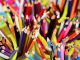 Pencils Color Colorful School