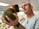 Puppy Vet Veterinarian Dog Doctor