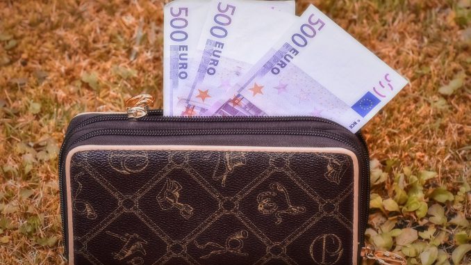 Purse Seem Bank Note Euro Purse Seem Bank Note Euro