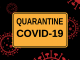 Quarantine Virus Coronavirus