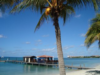 Aruba Island The Island Of Aruba