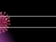 Corona Virus Covid  Search Bar