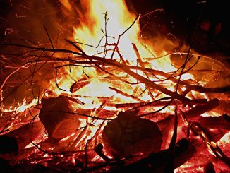 May Fire Fire Close Wood Fire