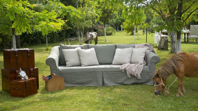 Armchair Garden Decorative Armchair Garden Decorative - Engin_Akyurt / Pixabay