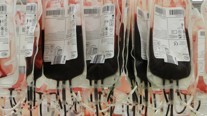 Blood Bags Red Red Blood Cells  - sabinurce / Pixabay