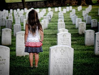 Cemetery National Cemetery  - tazzanderson / Pixabay