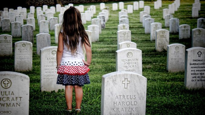 Cemetery National Cemetery  - tazzanderson / Pixabay