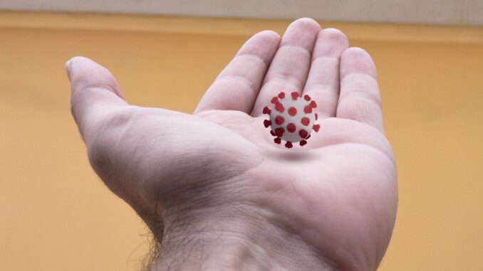 Covid  Virus Coronavirus  - cromaconceptovisual / Pixabay