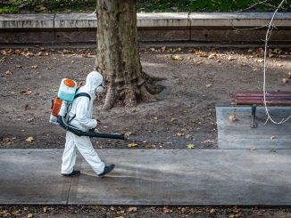 Covid Coronavirus Quarantine  - Mampu / Pixabay