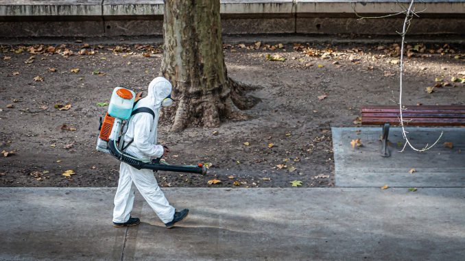 Covid Coronavirus Quarantine  - Mampu / Pixabay