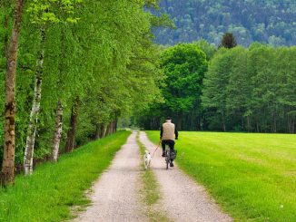Cyclists Away Cycling Nature  - Antranias / Pixabay