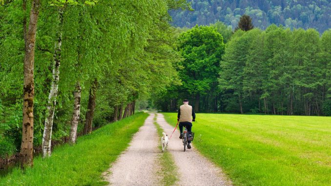 Cyclists Away Cycling Nature  - Antranias / Pixabay