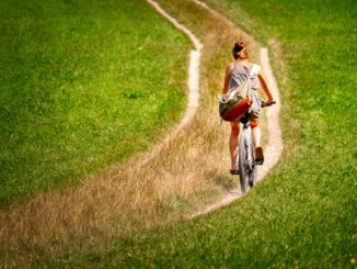 Cyclists Cycle Woman Lane Path  - fietzfotos / Pixabay