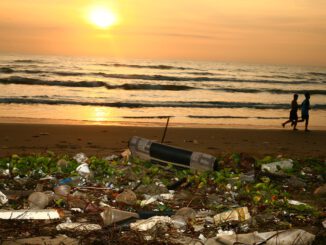 Ocean Trash Beach Pollution  - sergeitokmakov / Pixabay