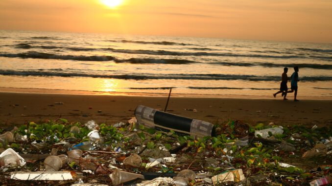 Ocean Trash Beach Pollution Ocean Trash Beach Pollution - sergeitokmakov / Pixabay