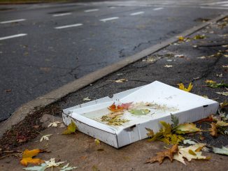 Pizza Carton Weather Garbage Paper