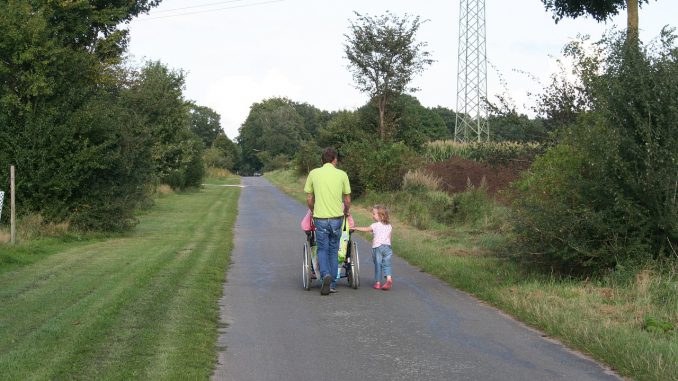 Walk Wheelchair Care Dependent 