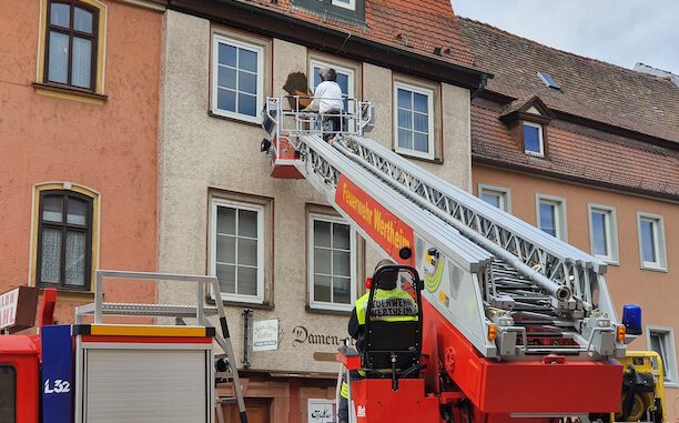 Bienenschwarm Altstadt - Copyright Feuerwehr Wertheim 30.06.2020