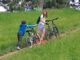 People Kids Bicycle Nature Park  - MirceaIancu / Pixabay