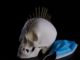Skull Bones Skeleton Death Dead  - AlessandroSquassoni / Pixabay