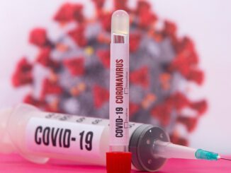 Coronavirus Virus Covid  Covid  - Bao_5 / Pixabay