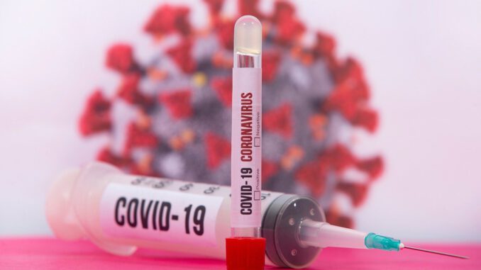 Coronavirus Virus Covid  Covid  - Bao_5 / Pixabay