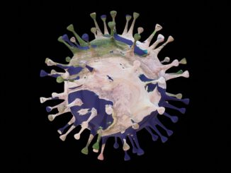 Coronavirus Virus Earth Planet - Mahmoud-Ahmed / Pixabay