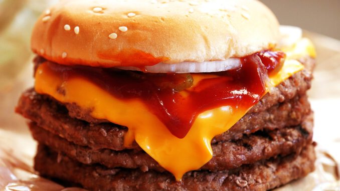 Food Restaurant Burger Burger King  - takedahrs / Pixabay