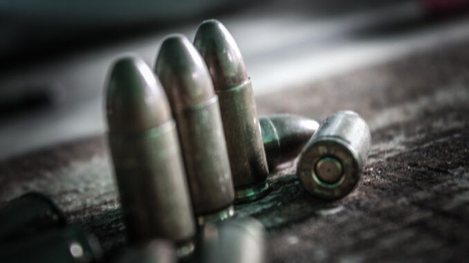 Bullets Weapons Cartridges Training  - caruizp / Pixabay