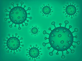 Coronavirus Covid  Virus  - Jorgeduardo / Pixabay